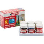 Bigpoint Guaj Boya 6'Lı 18 Ml