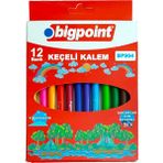 Bigpoint Keçeli Boya Kalem 12 Renk Karton Kutulu