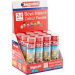 Bigpoint Premium Metal Tüpde Kuru Boya Kalemi 24 Renk - 12'li Set - Renkli - Standart
