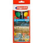Bigpoint Suluboya 12 Renk - Büyük Boy x 12 Adet Çok Renkli Boya Seti ile Yaratıcılığınızı Keşfedin