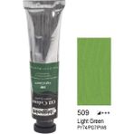 Bigpoint Yağlı Boya 45Ml 509 Bppo0645a509