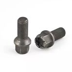 Bijon Cıvatası Delikli Siyah Aa17-M14x1,50X27 - 10Adet