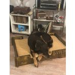 BİLBAO KÖPEK YATAĞI