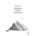 Bildiğim Bütün Kırmızılar - Beşir Sevim