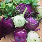 Bilgarden Mor Alabaş Kohlrabi Tohumu (20 Tohum)