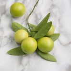 Bilgarden Tüplü Aşılı Aromatik Melez Limequat Fidanı