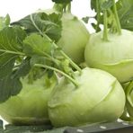 Bilgarden Yeşil Kohlrabi(Alabaş) Tohumu (20 Tohum) - 1 Adet