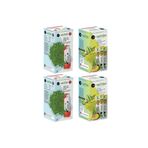 Bilge İlaç Çilek ve Ananas Aromalı Detox Matcha Çayı (2'er Kutu Toplam 4 Kutu=80 Şase(Poşet))