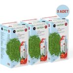 Bilge İlaç Matcha Premium Japanese Çilek Aromalı Detox Burner Form Matcha Çayı 3 Kutu
