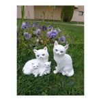BilgeCe hoMe Kedi Ailesi Biblo, Anne Yavru Kediler Ve Baba Heykeli, Beyaz Mavi Gözlü Kedi Heykeli, Alçı Heykel