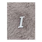 BilgeCe hoMe Pleksi harf, Pleksi I Harfi, Plexi I harfi