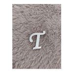 BilgeCe hoMe Pleksi Harf, Pleksi T harfi, Plexi T harfi, Pleksi malzeme