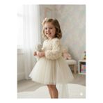 BİLGEN Style Kız Bebek Elbise Gül Desenli Fiyonk Lu Şık Özel Gün Abiye Elbise 0-5 Yaş