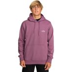 Billabong Arch Po Erkek Sweatshirt EBYFT00114 EBYFT00114005 - Mor