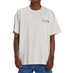 Billabong Arch Wave Tees Off White Erkek T-shirt