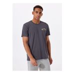 BİLLABONG Billabong HACK PREMIUM WW SS 24A521521 Siyah Bisiklet Yaka Regular Fit Düz Erkek T-Shirt