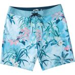 Billabong C1BS39 Mavi Erkek Deniz Şortu
