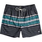 Billabong C1LB02 Siyah All Day Stripes Erkek Deniz Şortu