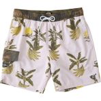 Billabong C1LB20 Gri Layback BBO Erkek Deniz Şortu
