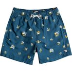 Billabong C2LB16 Salty Boys Mavi Erkek Çocuk Deniz Şortu