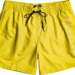 Billabong EBYJV00105-AGN All Day Heritage Lb Erkek Sarı Deniz Şortu