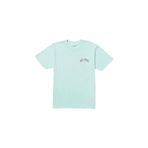BİLLABONG Hack Premium Ww Erkek Mavi Tişört ERKEK T-SHIRT 24A521521