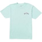 Billabong Hack Premium Ww Ss Erkek Mavi Tişört
