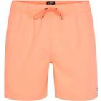 Billabong S1lb12-2674 All Day Lb Erkek Şort Mayo