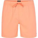 Billabong S1lb12-2674 Erkek Şort Mayo