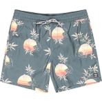 Billabong Vacay Lb Erkek Yeşil Deniz Şortu.DTR - XL