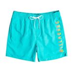 Billabong W1LB13-737 Erkek All Day Heritage Lb Yeşil Deniz Şortu