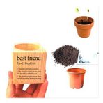 Bilsev Pazarlama Özel Tasarım Best Friend Temalı Hediyelik Papatya Ekim Seti