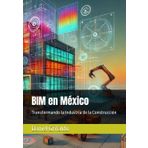BIM en México