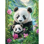Bimkole DIY 5D Diamond Painting Aksesuarı Panda, Boyama Kiti Tam Yuvarlak Matkap Sayılarla Boyama Boyama Boyama Nakış Kanaviçe Elmas Dekorasyon 30x40 cm gn1803
