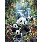 Bimkole DIY 5D Diamond Painting Aksesuarı Panda, Boyama Kiti Tam Yuvarlak Matkap Sayılarla Boyama Boyama Boyama Nakış Kanaviçe Elmas Dekorasyon 30x40 cm gn2159