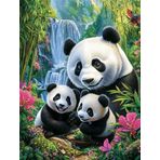 Bimkole DIY 5D Diamond Painting Aksesuarı Panda, Boyama Kiti Tam Yuvarlak Matkap Sayılarla Boyama Boyama Boyama Nakış Kanaviçe Elmas Dekorasyon 30x40 cm gn2168