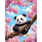Bimkole DIY 5D Diamond Painting Aksesuarı Panda, Boyama Kiti Tam Yuvarlak Matkap Sayılarla Boyama Boyama Boyama Nakış Kanaviçe Elmas Dekorasyon 30x40 cm gn2202