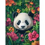Bimkole DIY 5D Diamond Painting Aksesuarı Panda, Boyama Kiti Tam Yuvarlak Matkap Sayılarla Boyama Boyama Boyama Nakış Kanaviçe Elmas Dekorasyon 40X50 cm gn1527