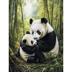 Bimkole DIY 5D Diamond Painting Aksesuarı Panda, Boyama Kiti Tam Yuvarlak Matkap Sayılarla Boyama Boyama Boyama Nakış Kanaviçe Elmas Dekorasyon 40X50 cm gn1860