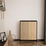 Bimossa R2420 Ayakkabılık 100 Cm Sepet/siyah Meşe