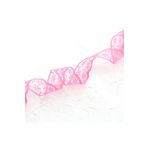 Bimotif 5 m 2 cm Koyu Pembe Dantel Şerit