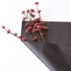 Bimotif 50x70 cm Siyah 100 Adet Pelur Kağıdı