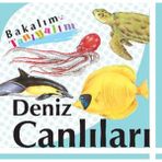 Binbir Göz Kitap Bakalım Tanıyalım Deniz Canlıları (Ciltli)