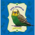 Binbir Göz Kitap Evcil Hayvanlar - Dokun ve Hisset