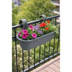 Binbirreyon Büyük Balkon Saksısı Askılı Saksı Balkon Demirine Asılan Saksı 53cm AH158
