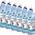 Bingo Oksijen Nefes Aldıran Hijyen Çamaşır Suyu 750 ml Ekonomi Paketi 6'lı Okaliptus - 4,5 lt
