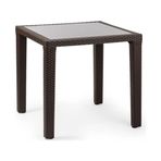 Bintaş Mobilya 80X80 cm Bahçe Masası