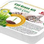 Bio Petacive Kedi Çimi