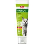 Bio PetActive 100 ml Vitalicat Yavru Kediler İçin Multivitamin Paste