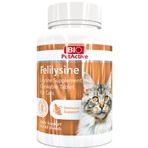 Bio PetActive 90'lı Felilysine Kedi Bağışıklık Sistemi Güçlendirici Tablet
